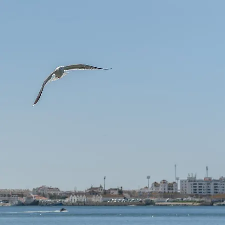 Luxury Doña Bella Ayamonte